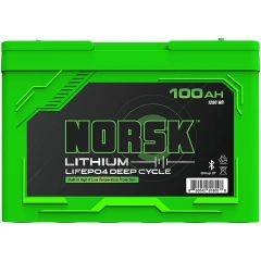 Garmin Reeds All season LSB with Norsk Battery