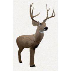 Rinehart Targets Woodland Mulie 18011